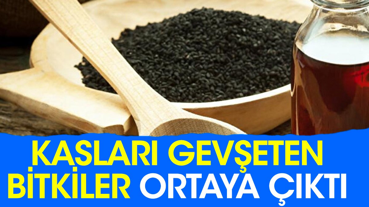 Kasları gevşeten bitkiler ortaya çıktı