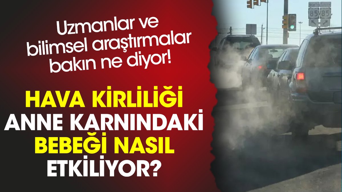 Hava kirliliği anne karnındaki bebeği nasıl etkiliyor?