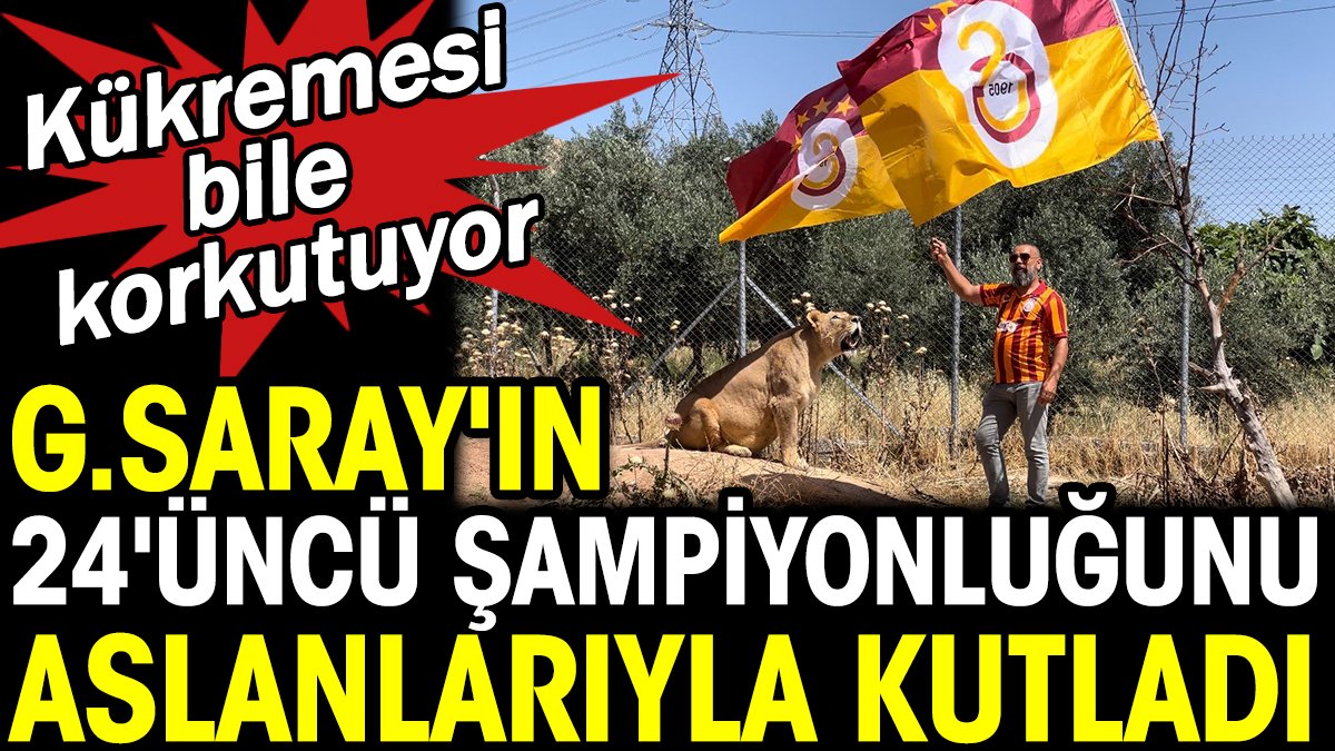Galatasaray’ın 24. şampiyonluğunu aslanlarıyla kutladı. Kükremesi bile korkutuyor