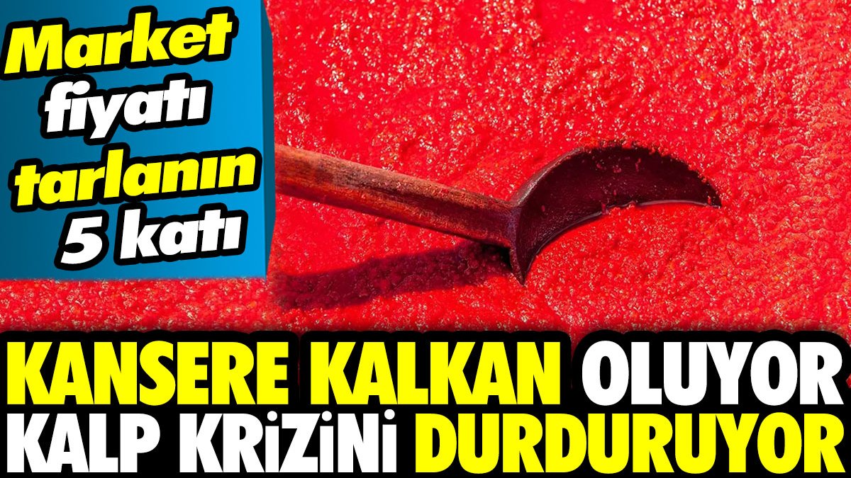 Market fiyatı tarlanın 5 katı! Kansere kalkan oluyor kalp krizini durduruyor