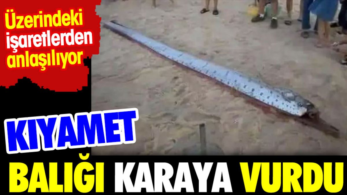 Kıyamet balığı kıyıya vurdu. Üzerindeki işaretlerden anlaşılıyor