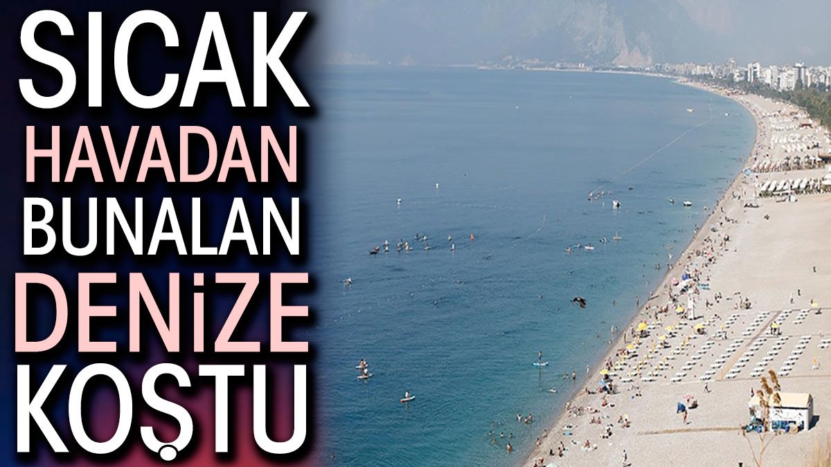 Sıcak havadan bunalan denize koştu