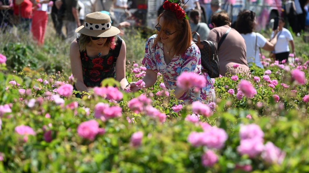 Uluslararası Isparta Gül Festivali'nde renkli görüntüler ortaya çıktı