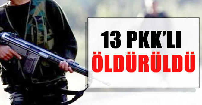 Hakkâri ve Mardin’de 13 terörist öldürüldü