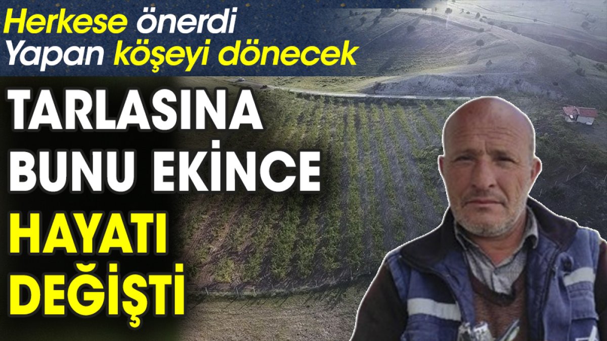 Tarlasına bunu ekince hayatı değişti. Herkese önerdi. Yapan köşeyi dönecek