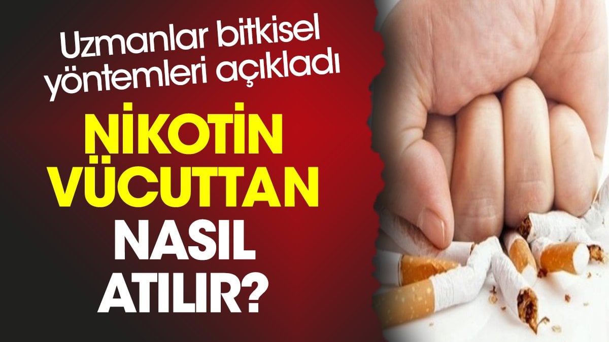 Nikotin vücuttan nasıl atılır? Uzmanlar bitkisel yöntemleri açıkladı