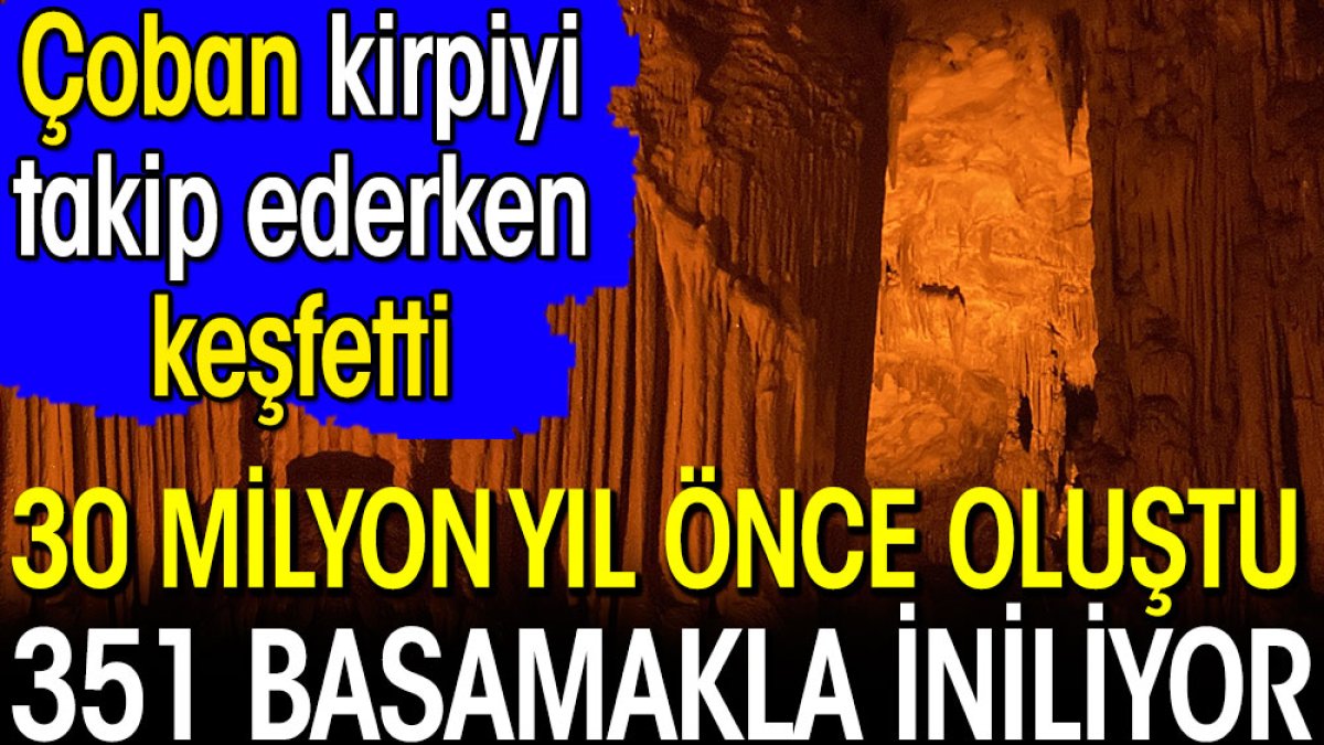 Çoban kirpiyi takip ederken keşfetti. 30 milyon yıl önceye ait