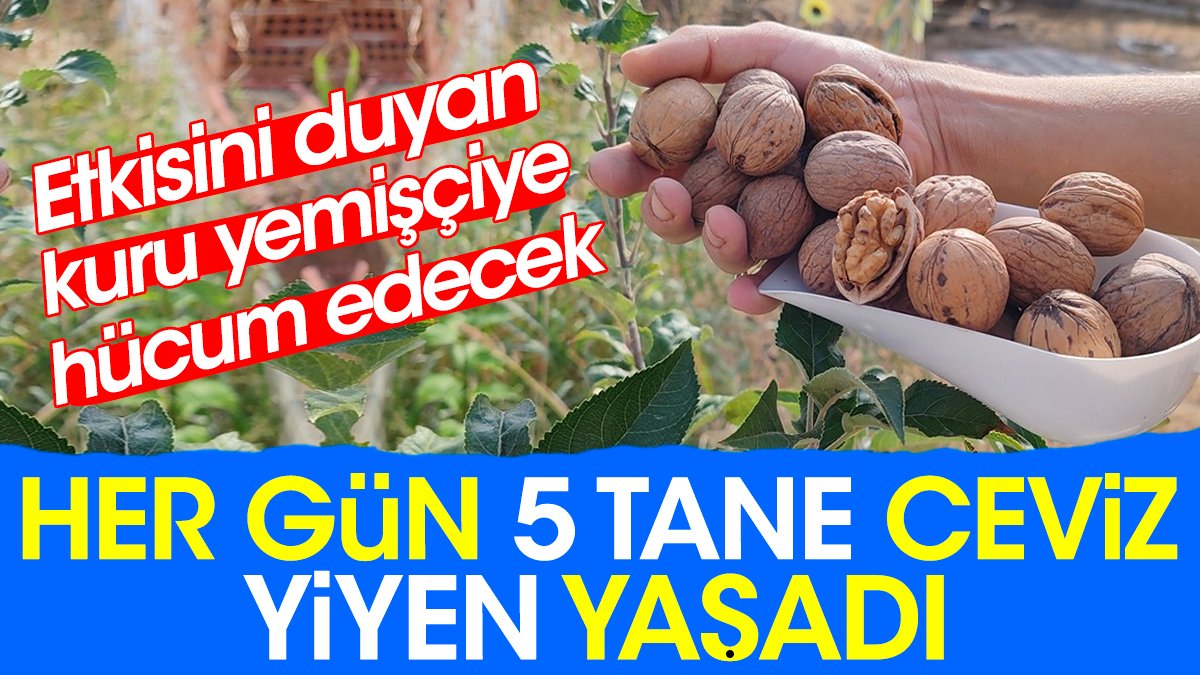 Her gün 5 tane ceviz yiyen yaşadı. Etkisini duyan kuru yemişçiye hücum edecek