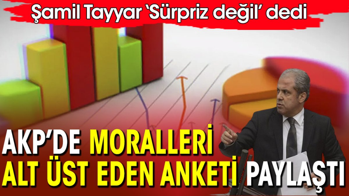 Şamil Tayyar sürpriz değil dedi! AKP’de moralleri alt üst eden anket sonuçlarını paylaştı