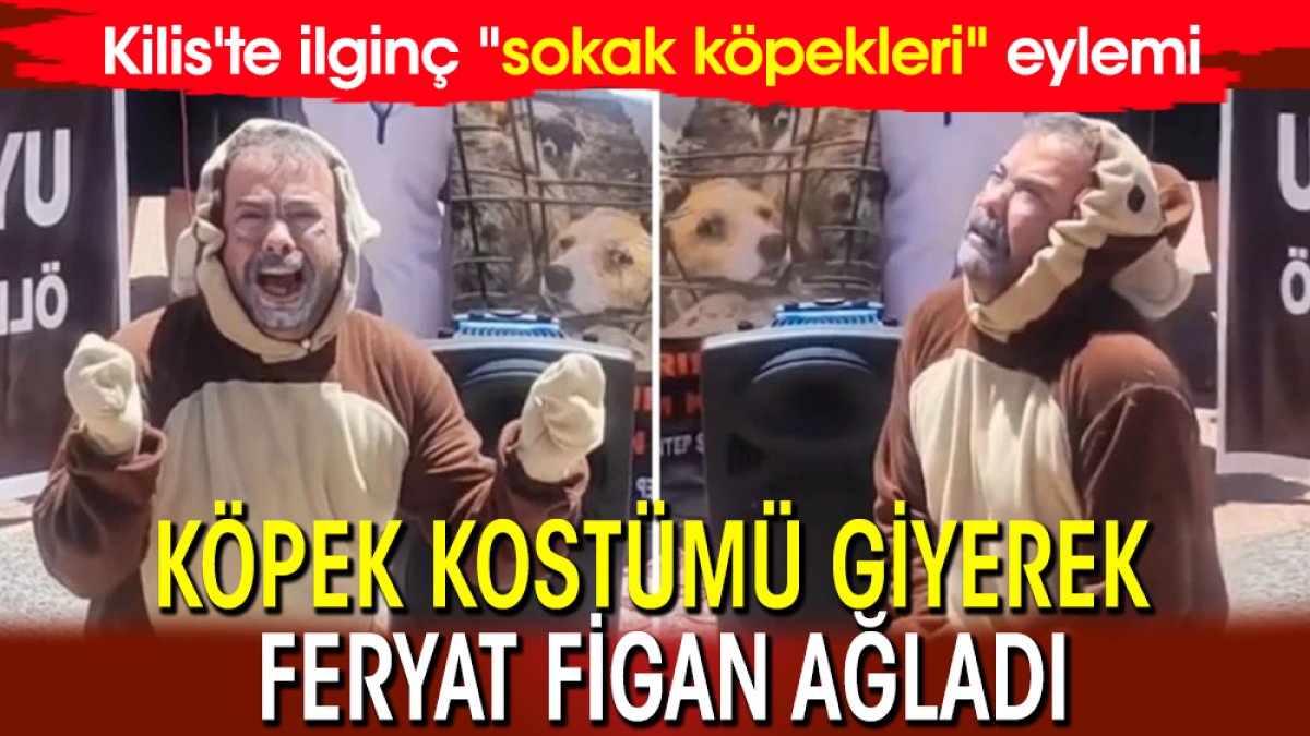 Kilis'te ilginç "sokak köpekleri " eylemi: Köpek kostümü giyerek feryat figan ağladı