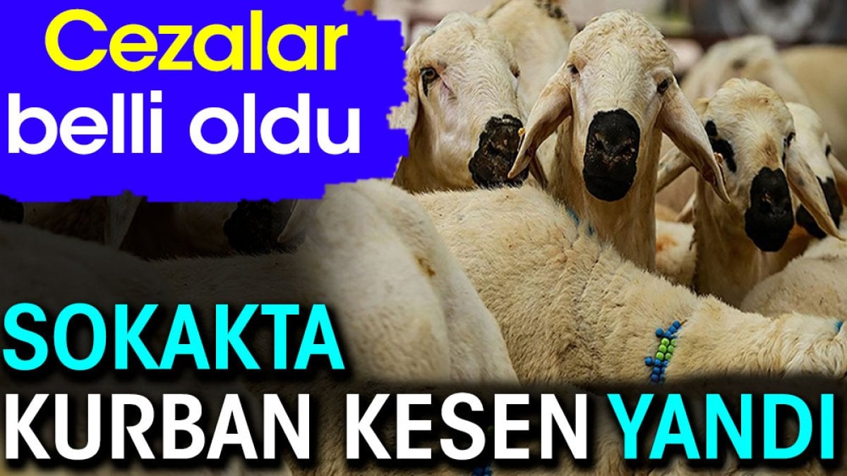 Sokakta kurban kesen yandı. Cezalar belli oldu