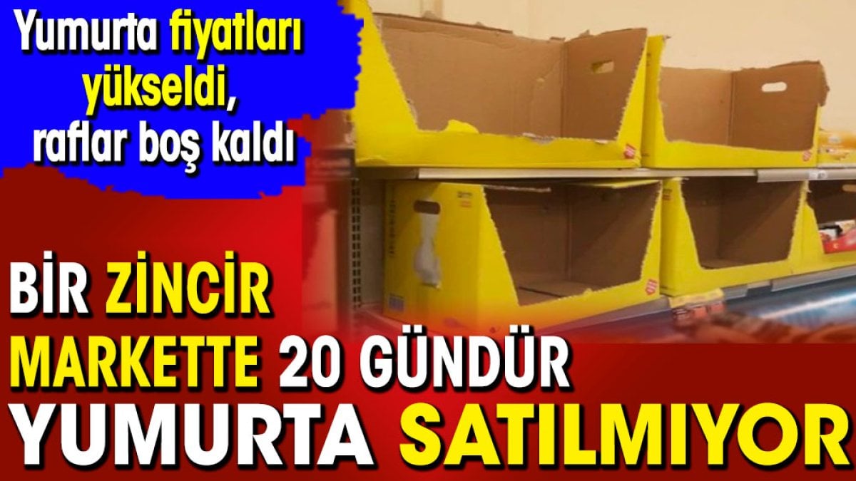 Bir zincir markette 20 gündür yumurta satılmıyor. Yumurta fiyatları yükseldi raflar boş kaldı