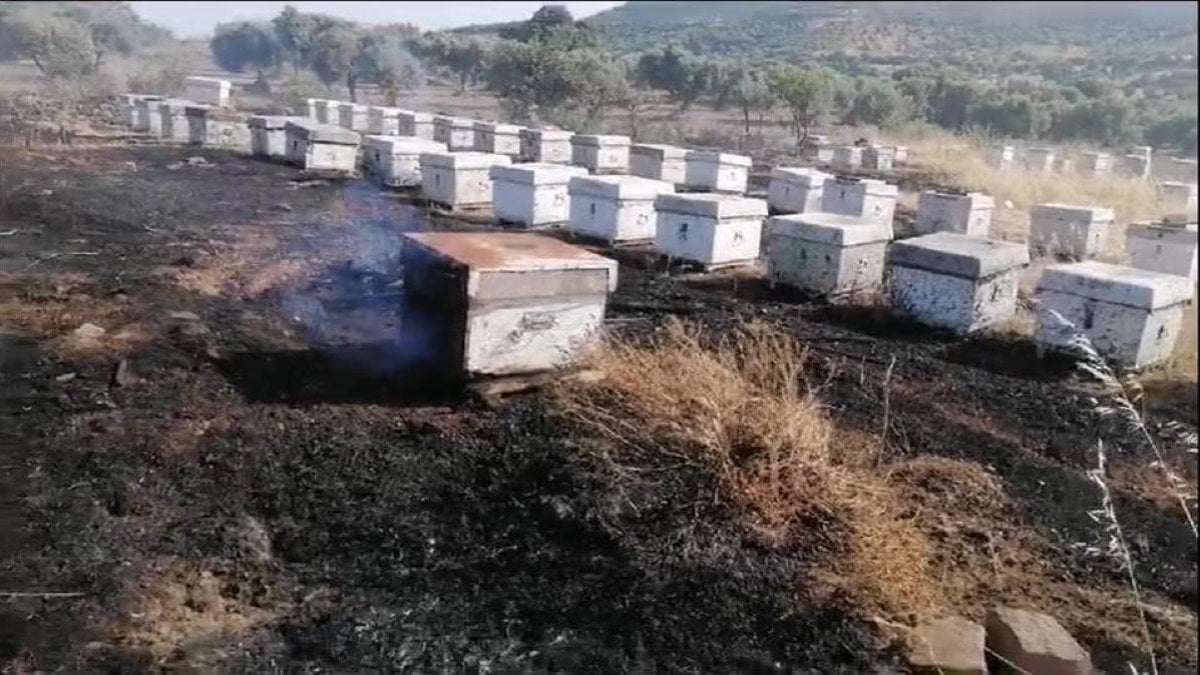 Foça'da araçtan atılan izmarit yangına yol açtı