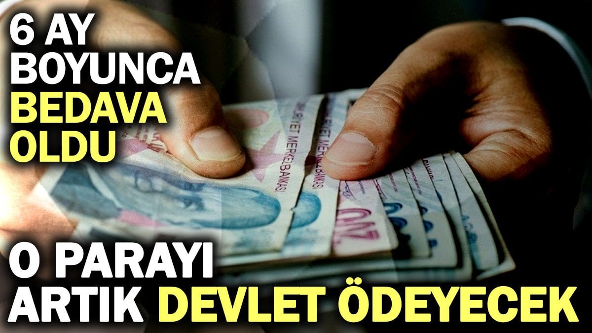 6 ay boyunca bedava oldu: O parayı artık devlet ödeyecek