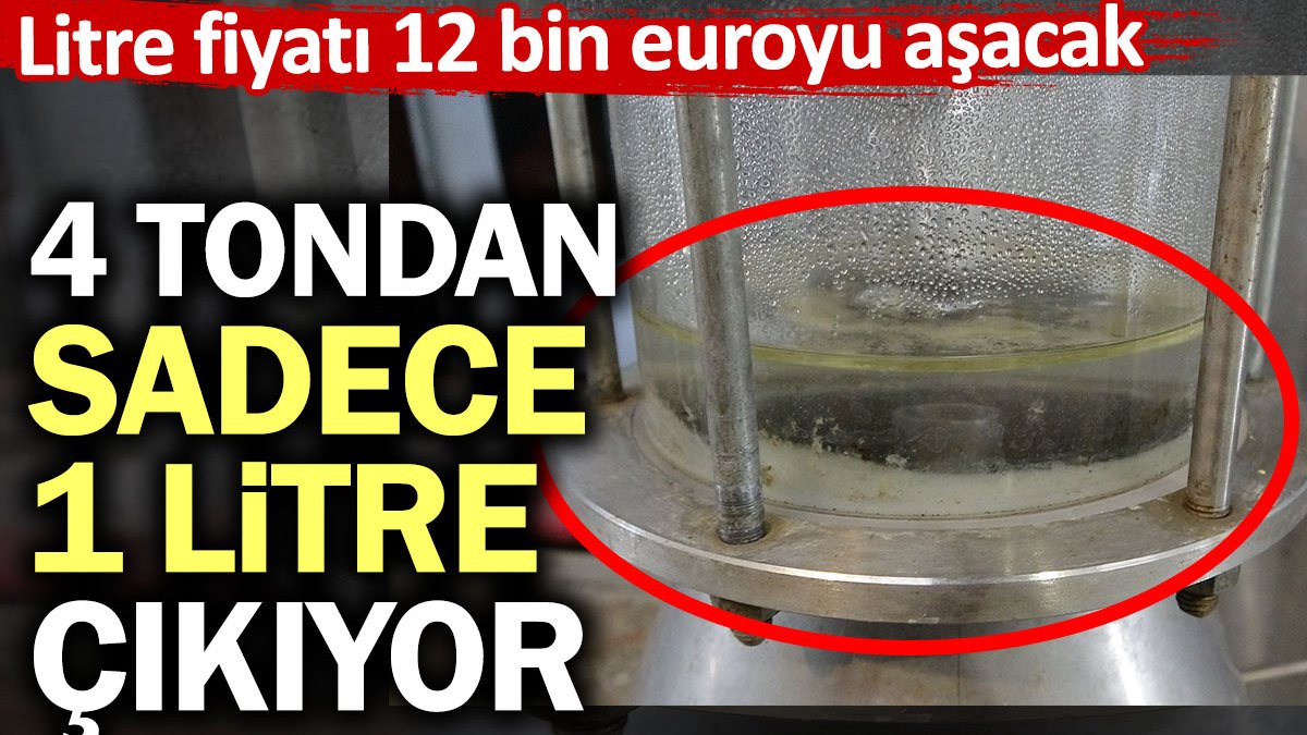 4 tondan sadece 1 litre çıkıyor. Litre fiyatı 12 bin euroyu aşacak