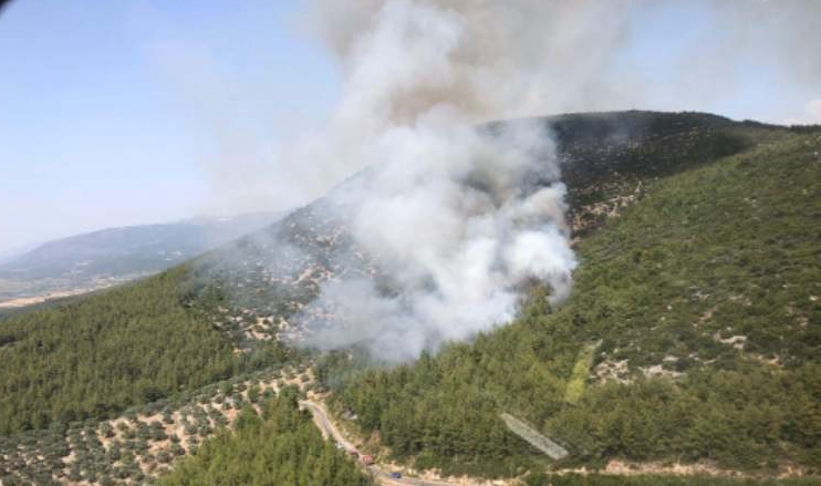 Muğla'daki orman yangınının nedeni yine şaşırtmadı