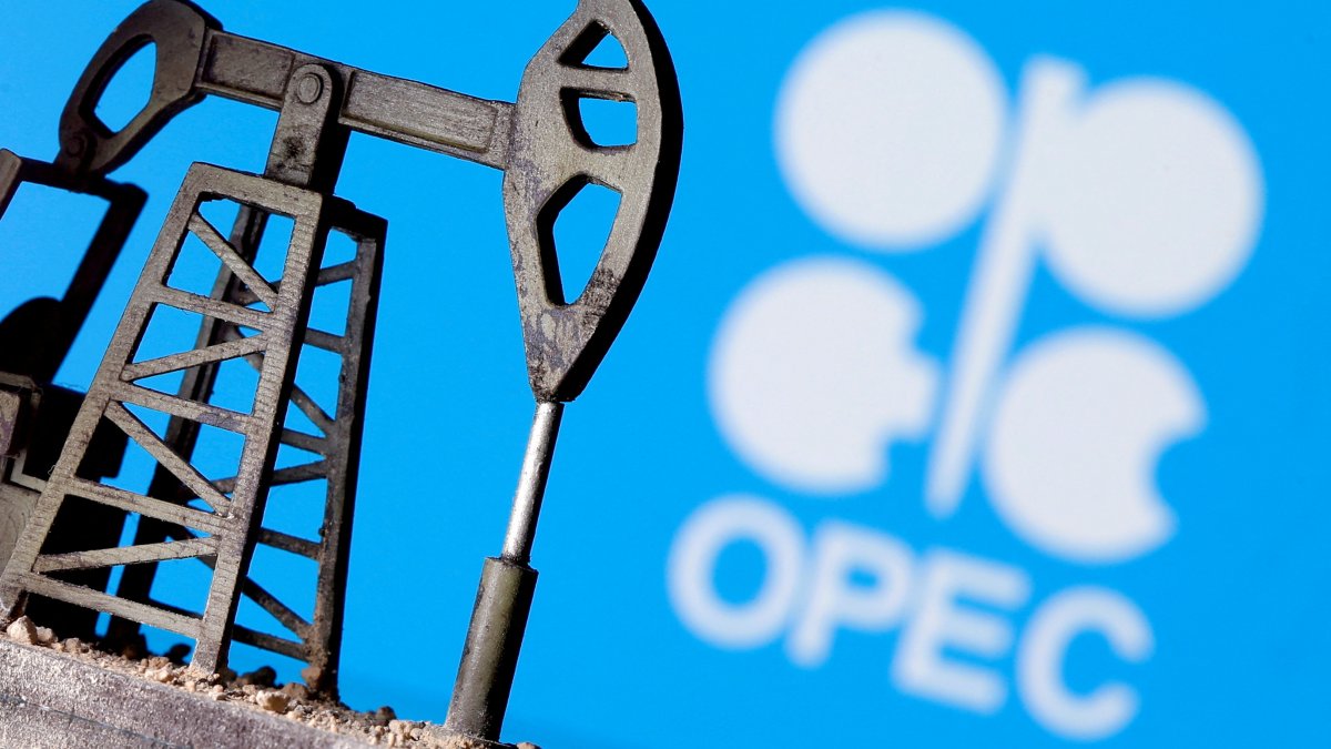 OPEC büyük artış olacağını açıkladı