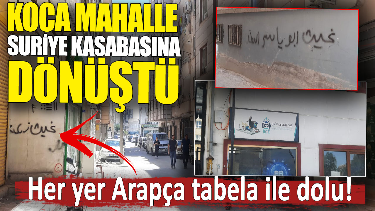 Koca mahalle Suriye kasabasına dönüştü. Her yer Arapça tabela ile dolu