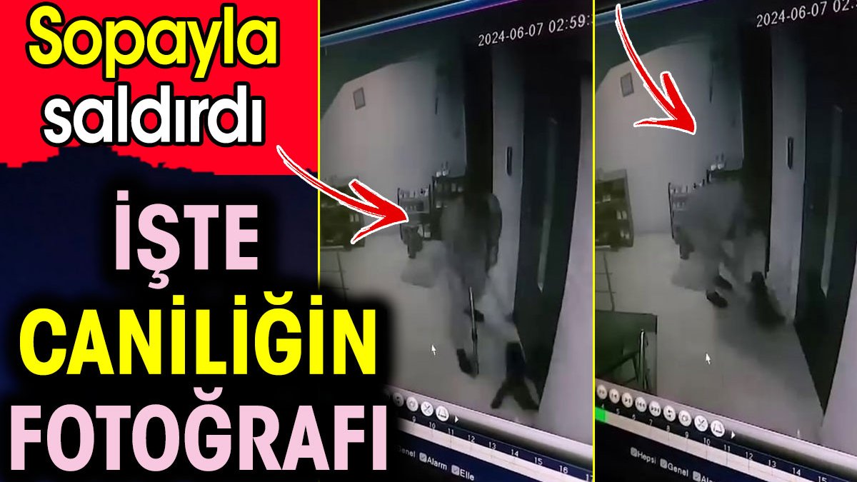 İşte caniliğin fotoğrafı. Kediye sopayla saldırdı