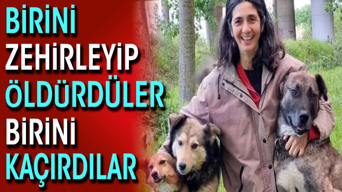 Birini zehirleyerek öldürdüler birini kaçırdılar