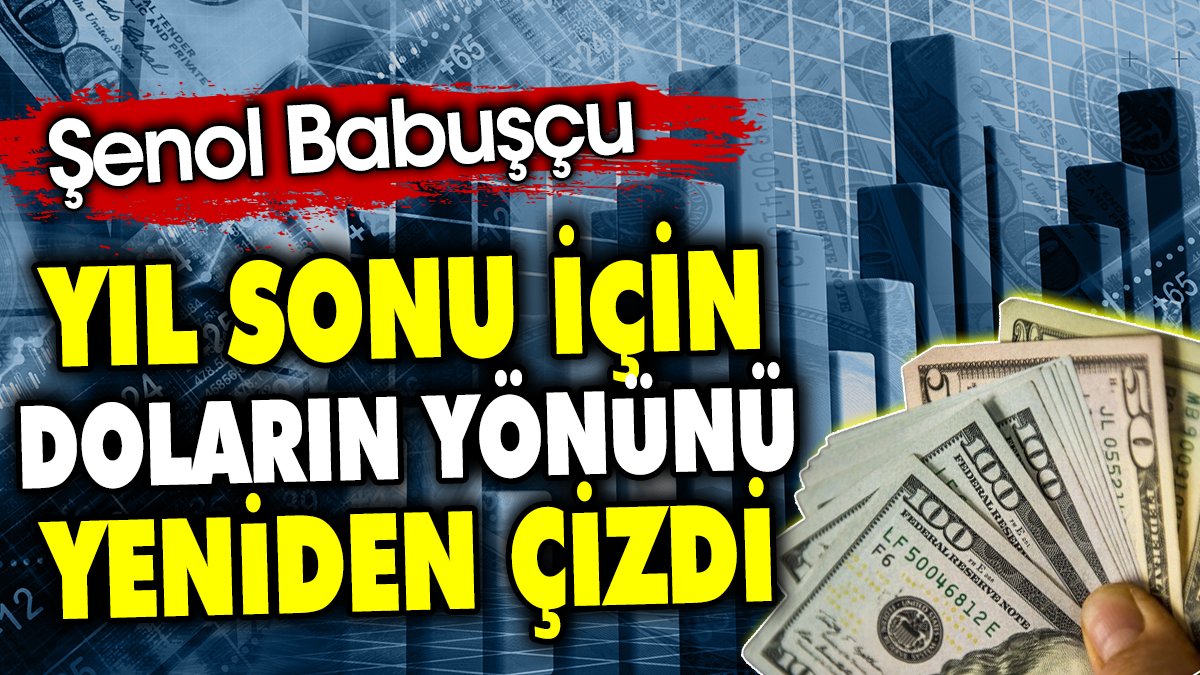 Şenol Babuşçu yıl sonu için doların yönünü yeniden çizdi