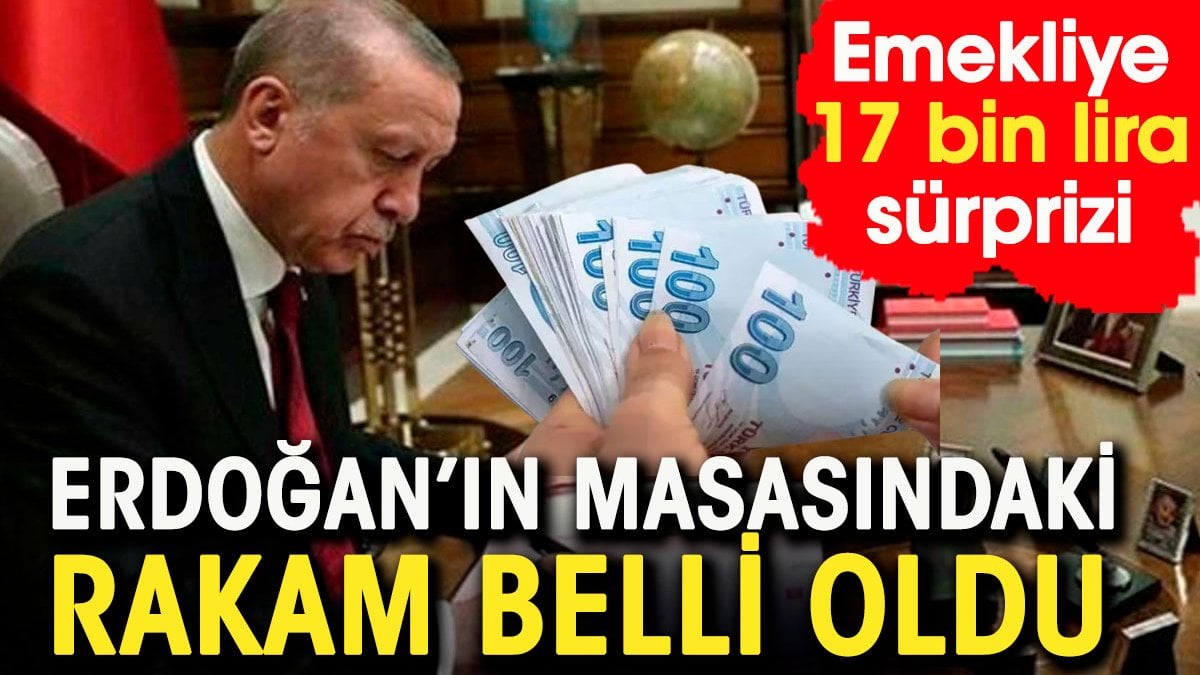 Erdoğan'ın masasındaki rakam belli oldu. Emekliye 17 bin lira sürprizi