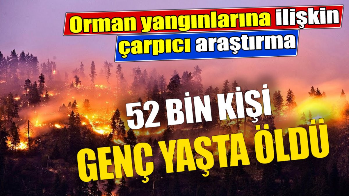 En az 52 bin kişi genç yaşta öldü. Orman yangınlarına ilişkin çarpıcı araştırma