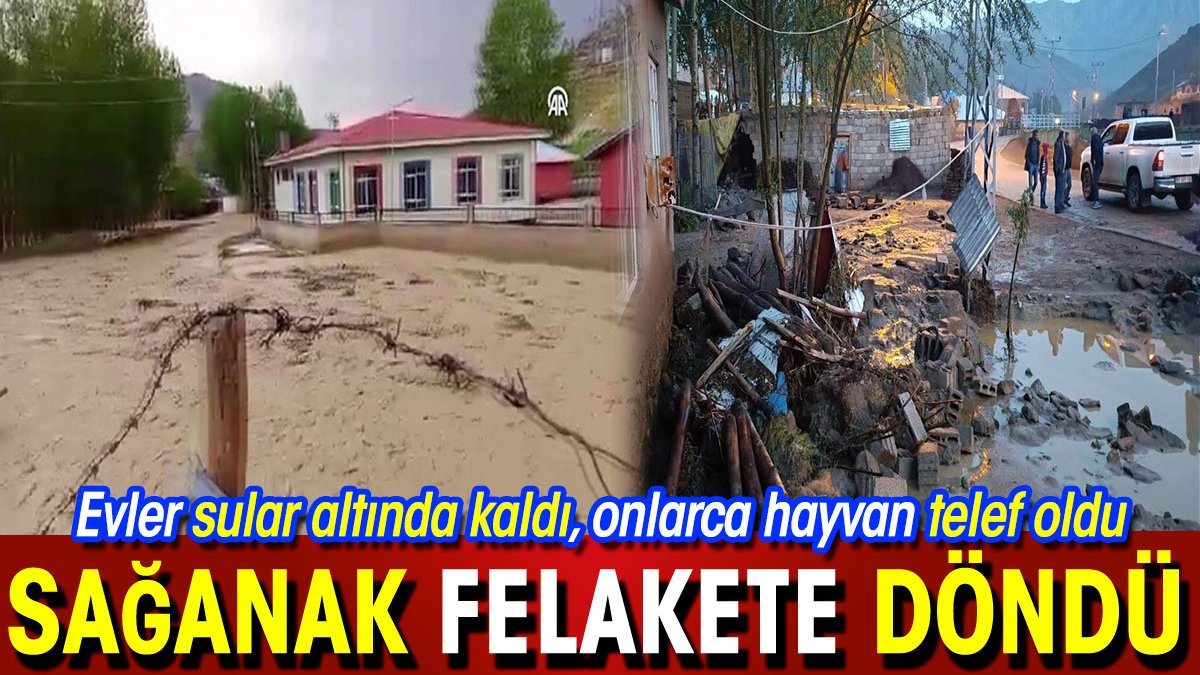 Sağanak felakete döndü! Evler sular altında kaldı onlarca hayvan telef oldu