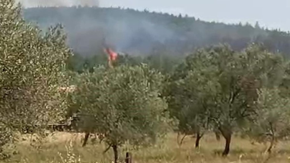 Bergama'da orman yangını (10 Haziran 2024)