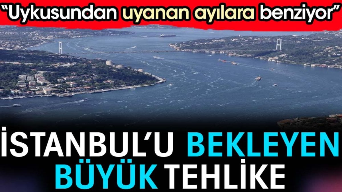 İstanbul’u bekleyen büyük tehlike. 'Uykusundan uyanan ayılara benziyor'