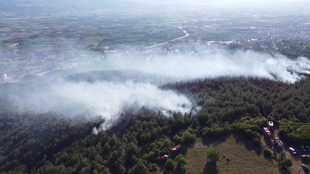 Tokat'ın Niksar ilçesinde orman yangını kontrol altına alındı