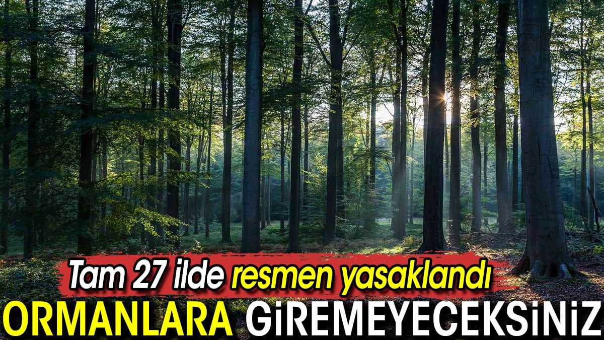 Tam 27 ilde resmen yasaklandı! Ormanlara giremeyeceksiniz