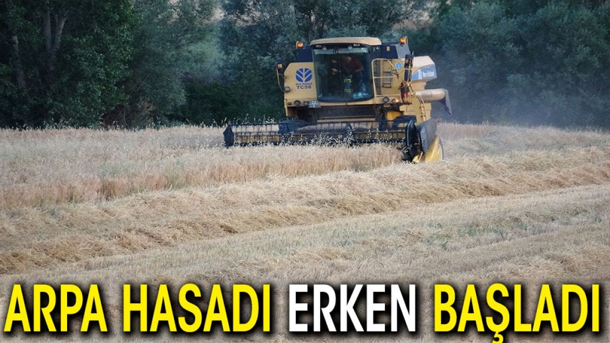 Arpa hasadı erken başladı