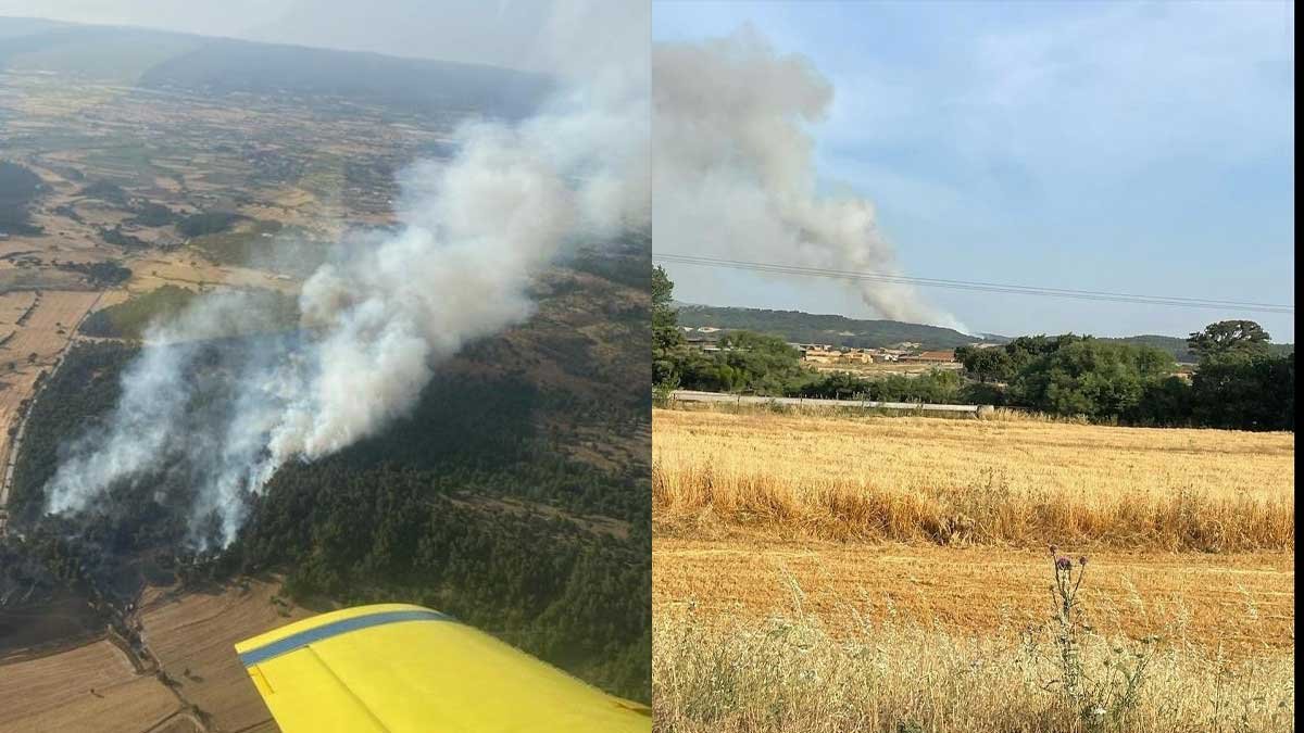 Çanakkale Bayramiç'te orman yangını