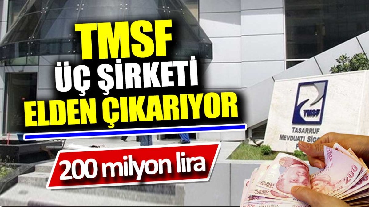 TMSF üç şirketi elden çıkarıyor! 200 milyon lira