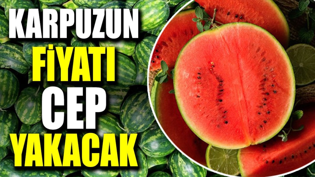 Karpuzun fiyatı cep yakacak