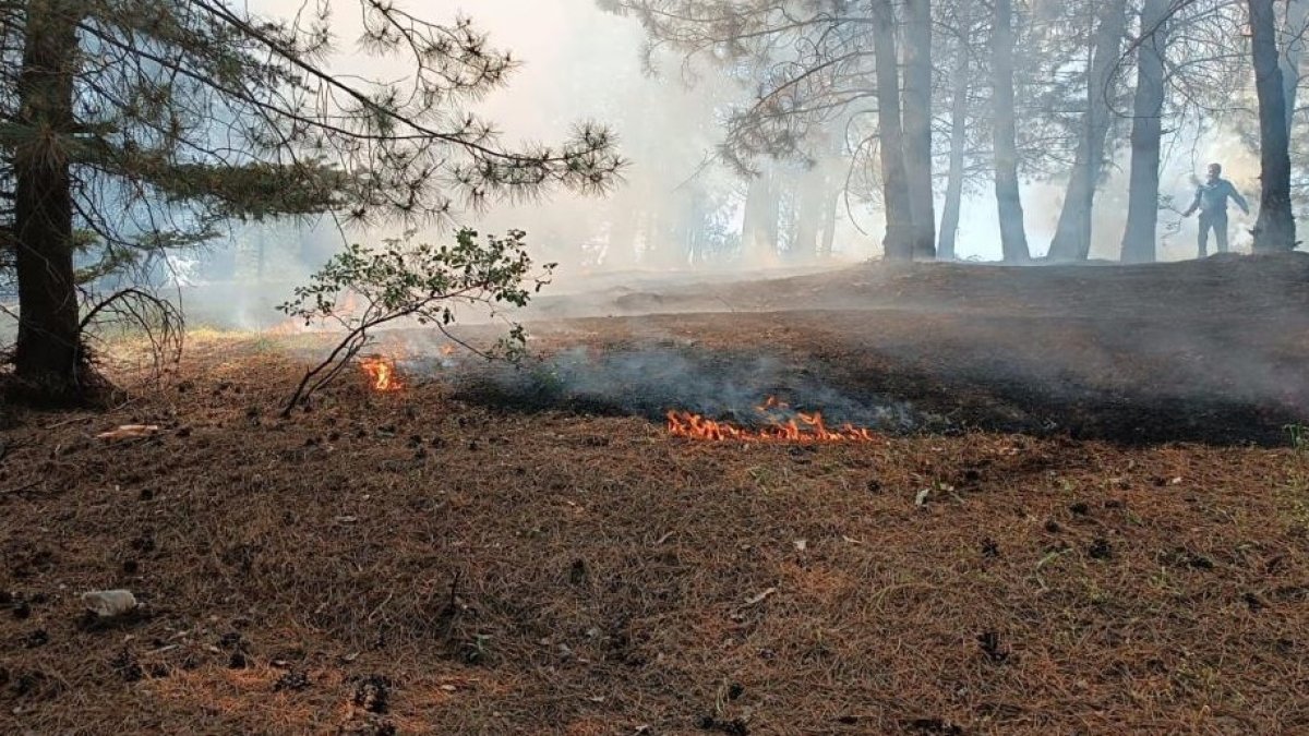 Bingöl’de orman yangını