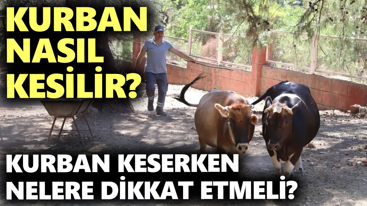 Kurban nasıl kesilir? Kurban keserken nelere dikkat etmeli?