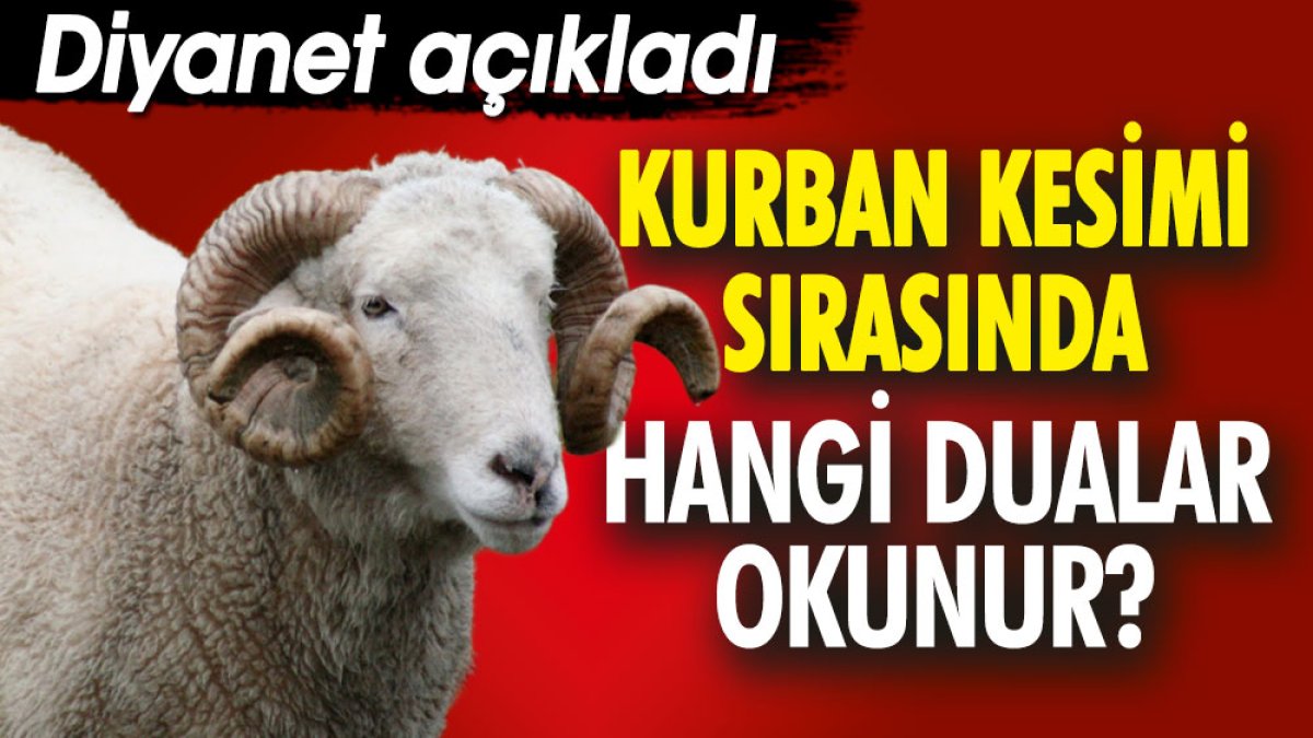 Kurban keserken hangi dualar okunur? Diyanet açıkladı