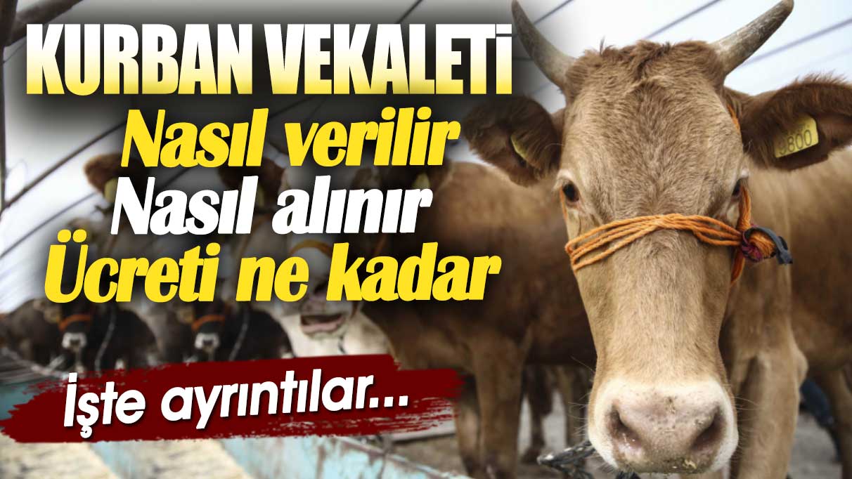 Kurban vekaleti nasıl verilir ve nasıl alınır? Ücreti belli oldu