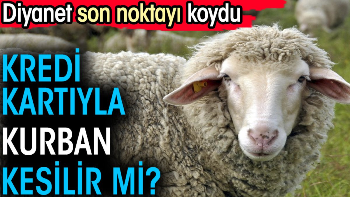 Kredi kartıyla kurban kesilir mi?. Diyanet son noktayı koydu