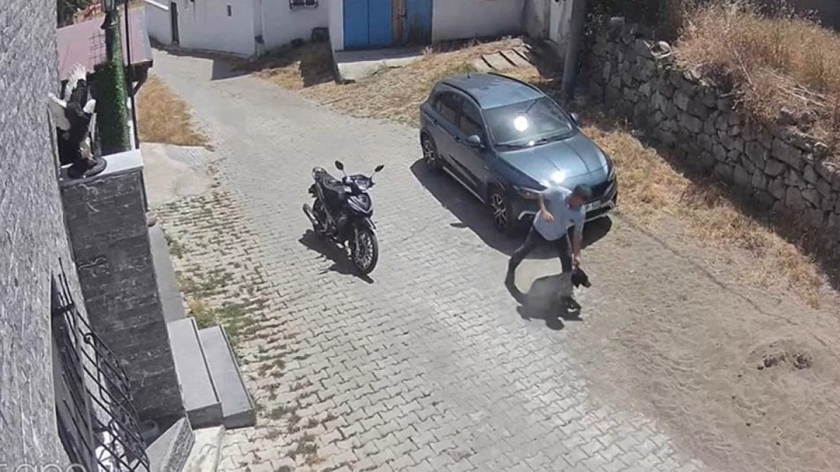 Köpeğe şiddet kameraya yansıdı