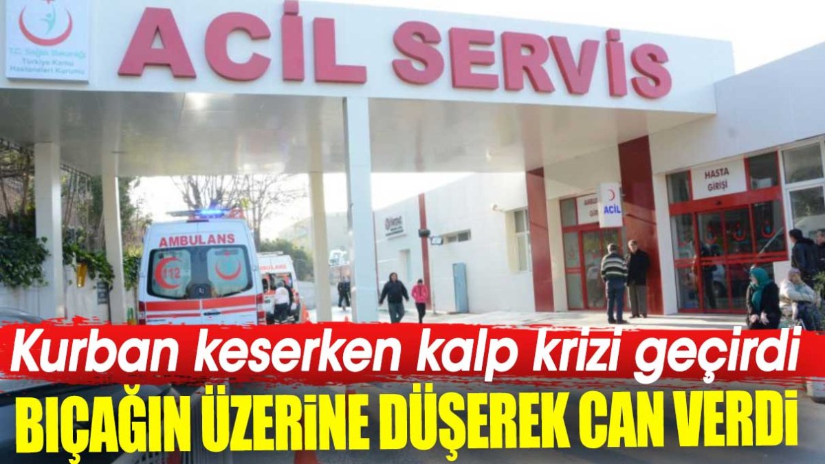 Kurban keserken kalp krizi geçirdi. Bıçağın üzerine düşerek can verdi