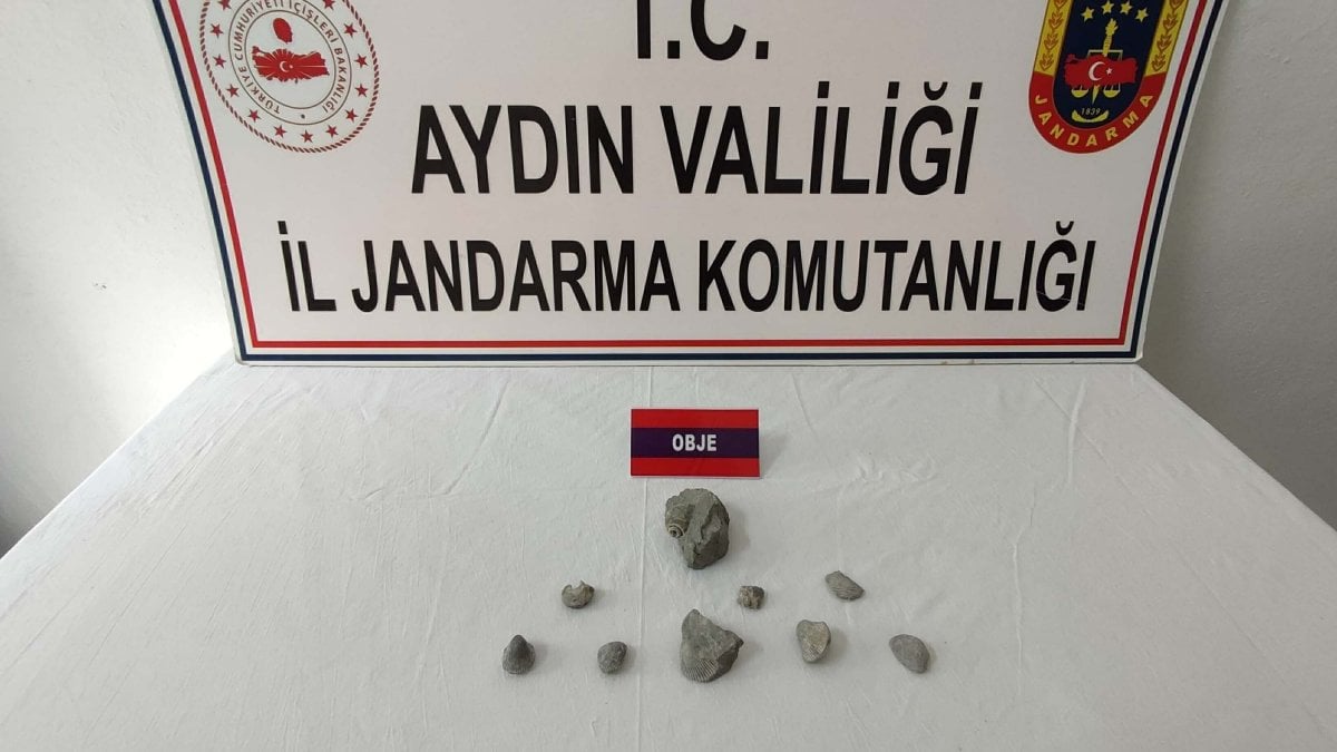 Aydın'da 400 bin yıllık fosilleri satmaya çalışan şüpheliye gözaltı