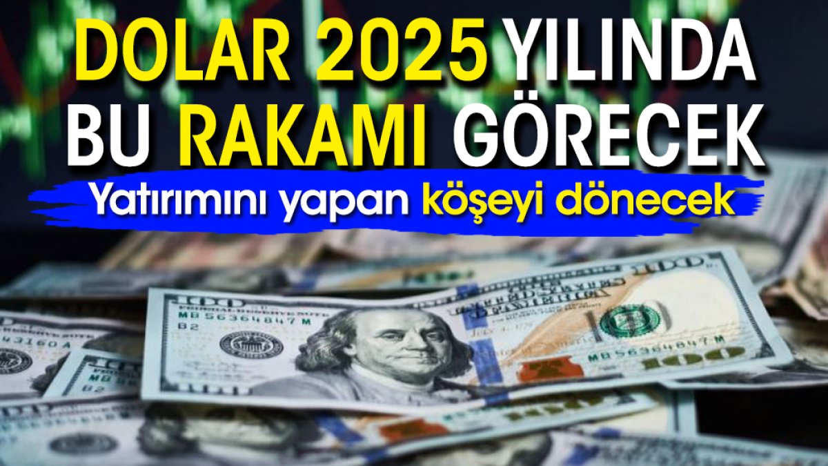 Yatırımını yapan köşeyi dönecek: Dolar 2025 yılında bu rakamı görecek