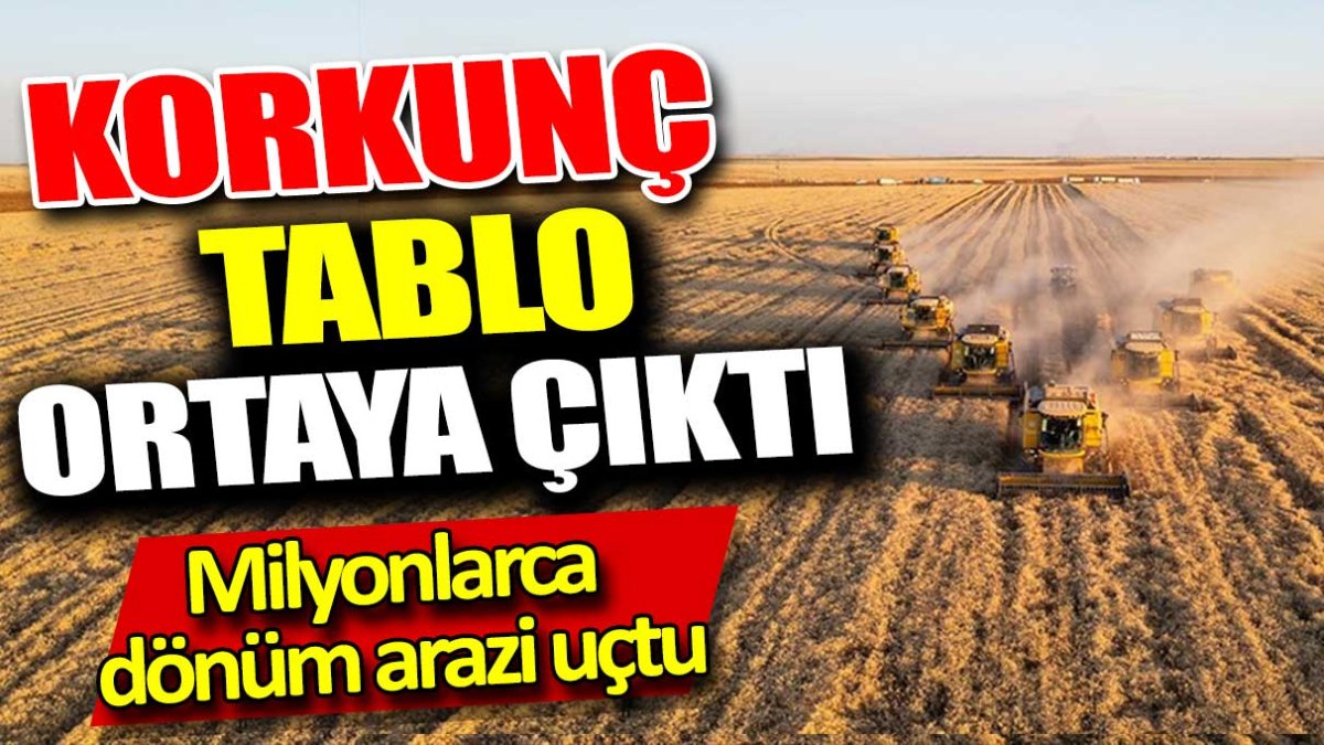 Milyonlarca dönüm arazi uçtu. Korkunç tablo ortaya çıktı