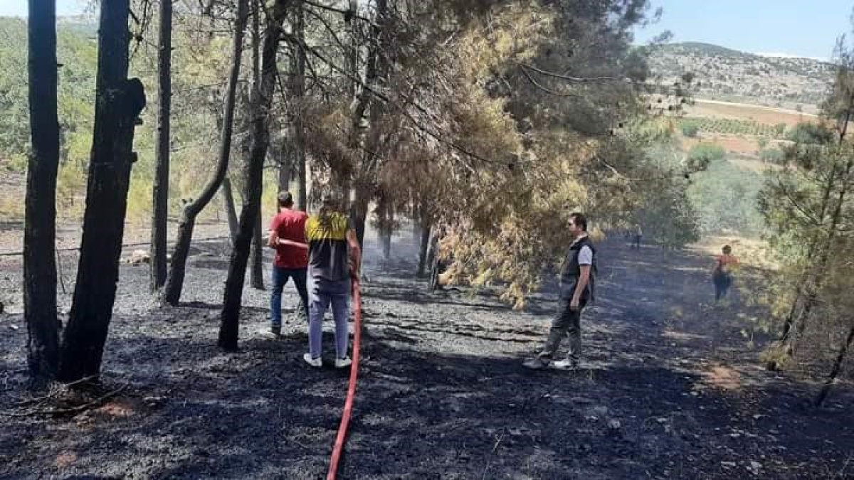 Denizli'de orman yangını