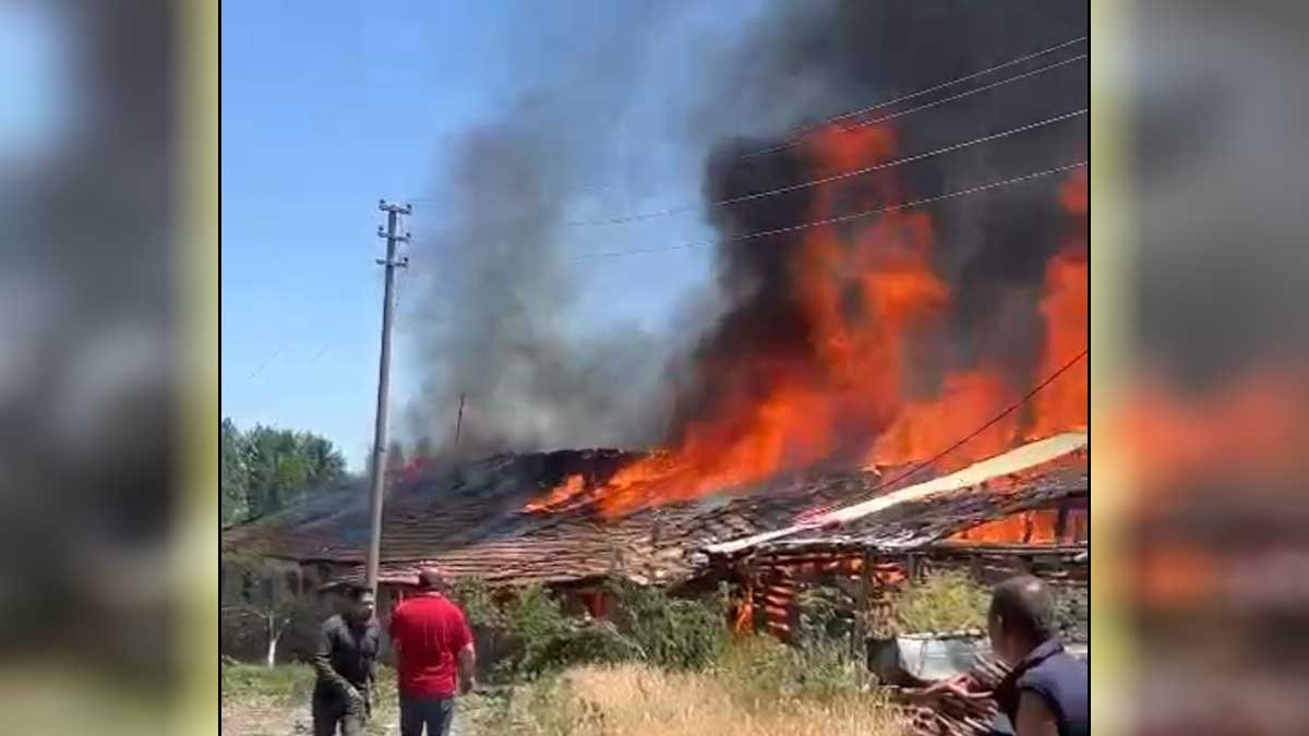 Ankara Çubuk'ta ahır yangını: 12 büyükbaş hayvan telef oldu