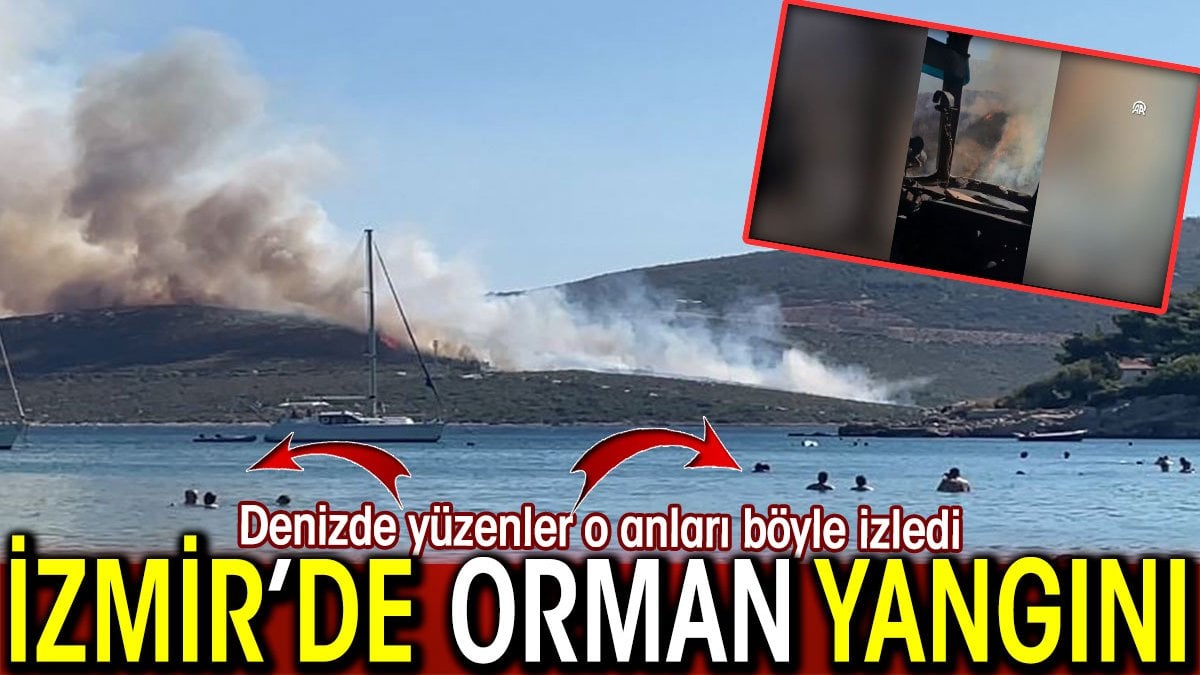 İzmir’de orman yangını! Denizde yüzenler o anları böyle izledi
