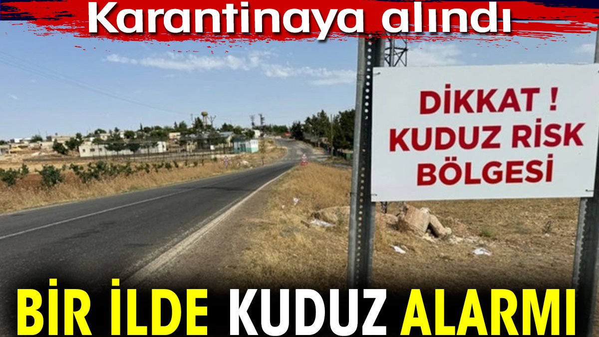 Bir ilde kuduz alarmı! Karantinaya alındı